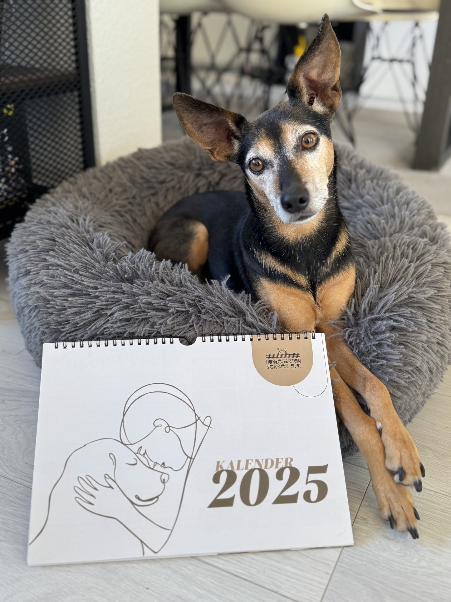 Hundegarten Serres Wandkalender 2025