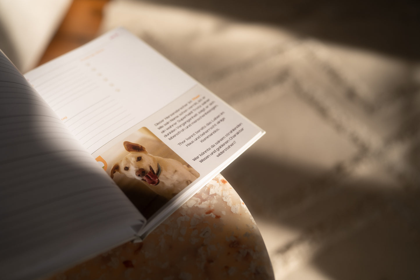 Hundegarten Serres Taschenkalender 2026